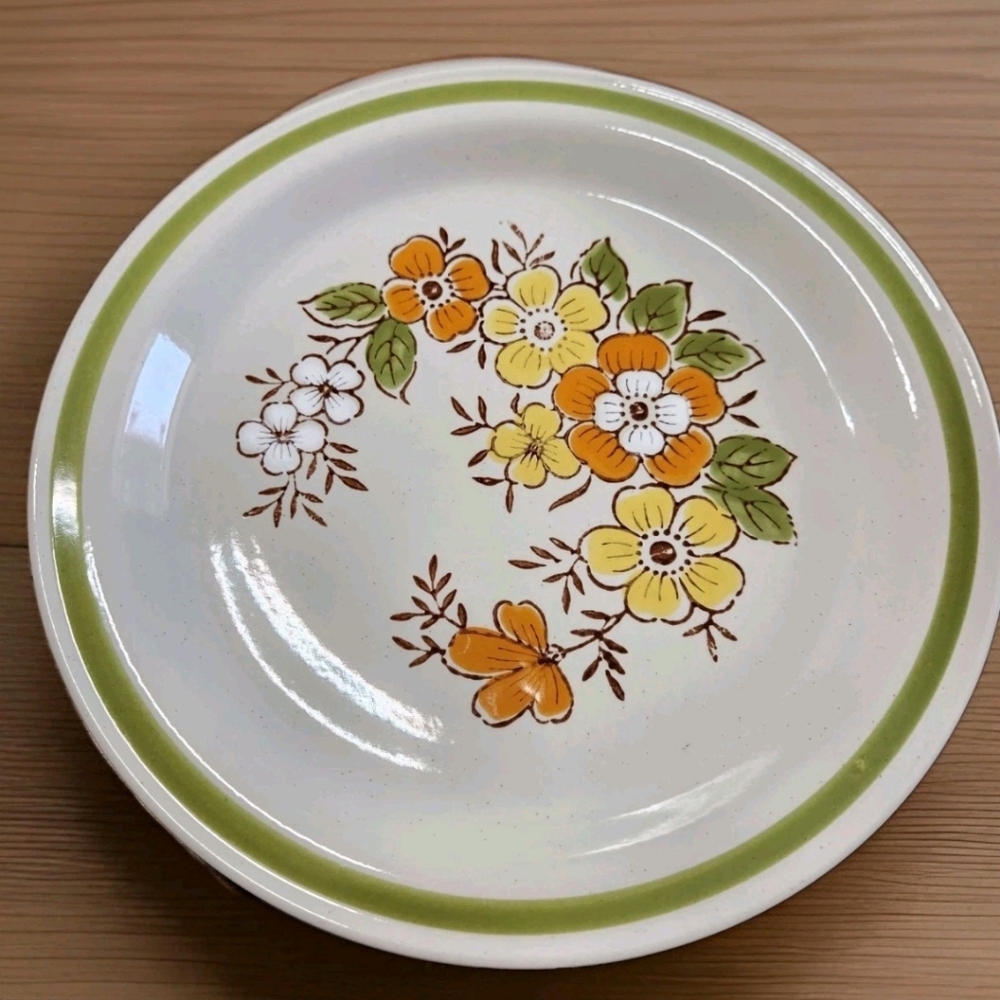 Country Casual “Spring Garden” 12" Hand Painted Platter  Japan Vintage Stoneware